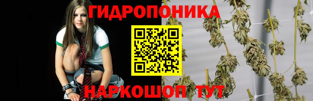 МАРИХУАНА LSD WEED Моршанск